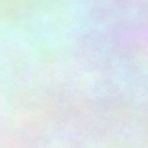 Meet your Posher, Juliana